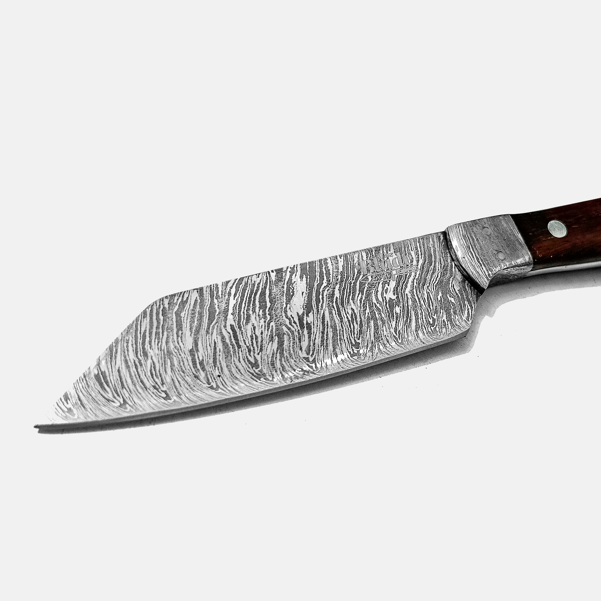 SteelPulse Series Paring Knife